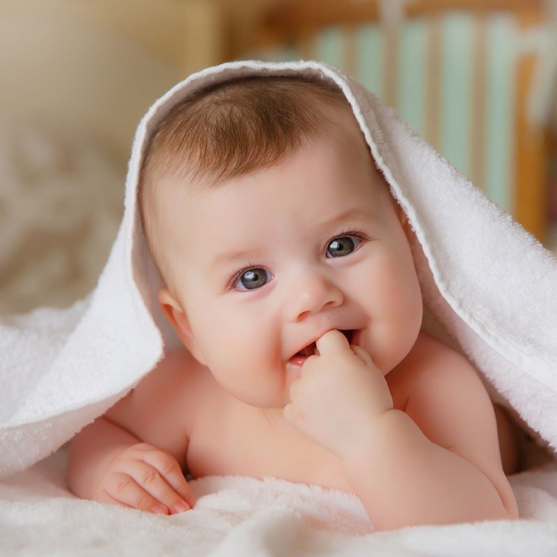 Infant4.8d